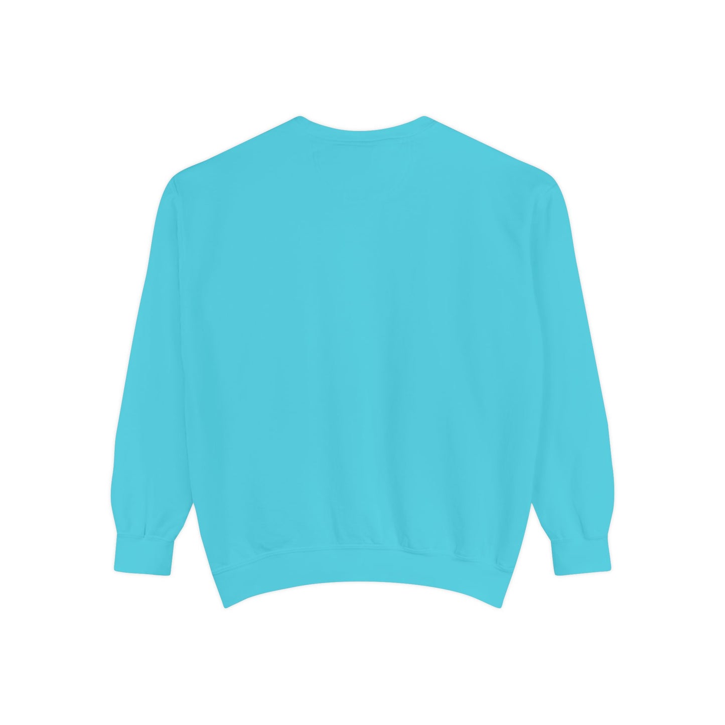 Light blue sweatshirt 
