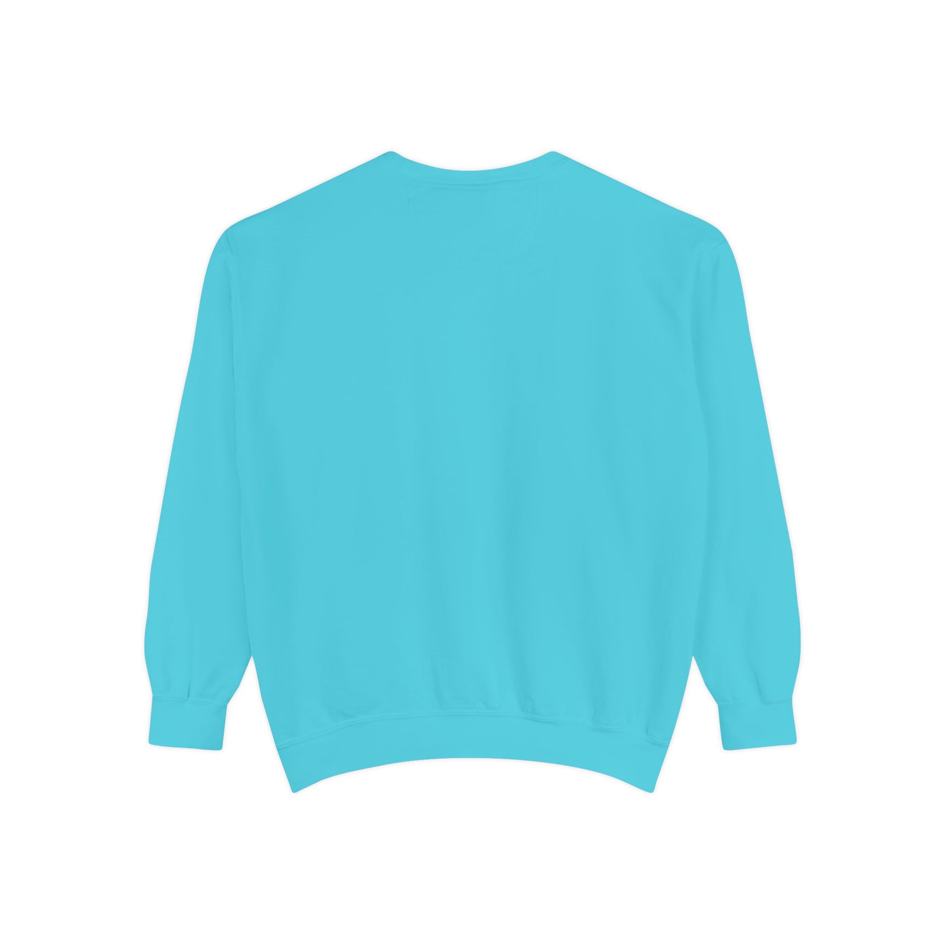Light blue sweatshirt 