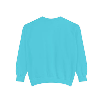 Light blue sweatshirt 