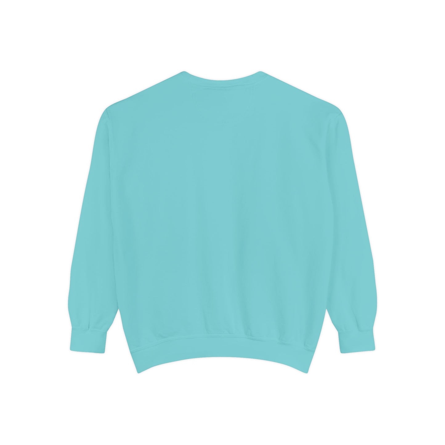 Light blue sweatshirt 