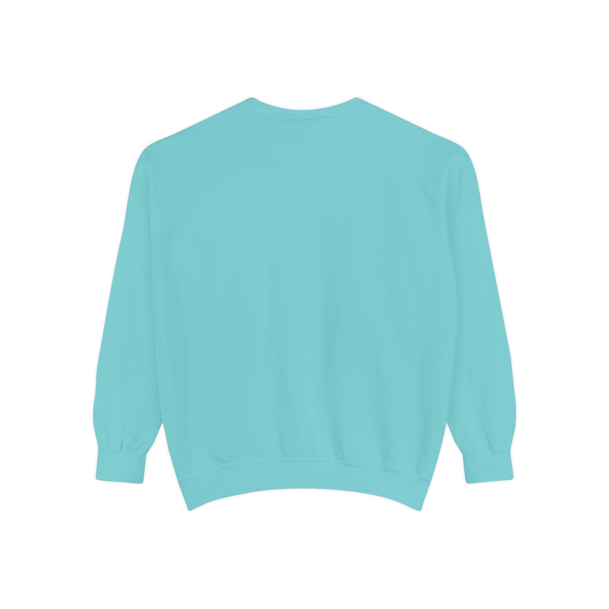 Light blue sweatshirt 