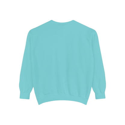 Light blue sweatshirt 