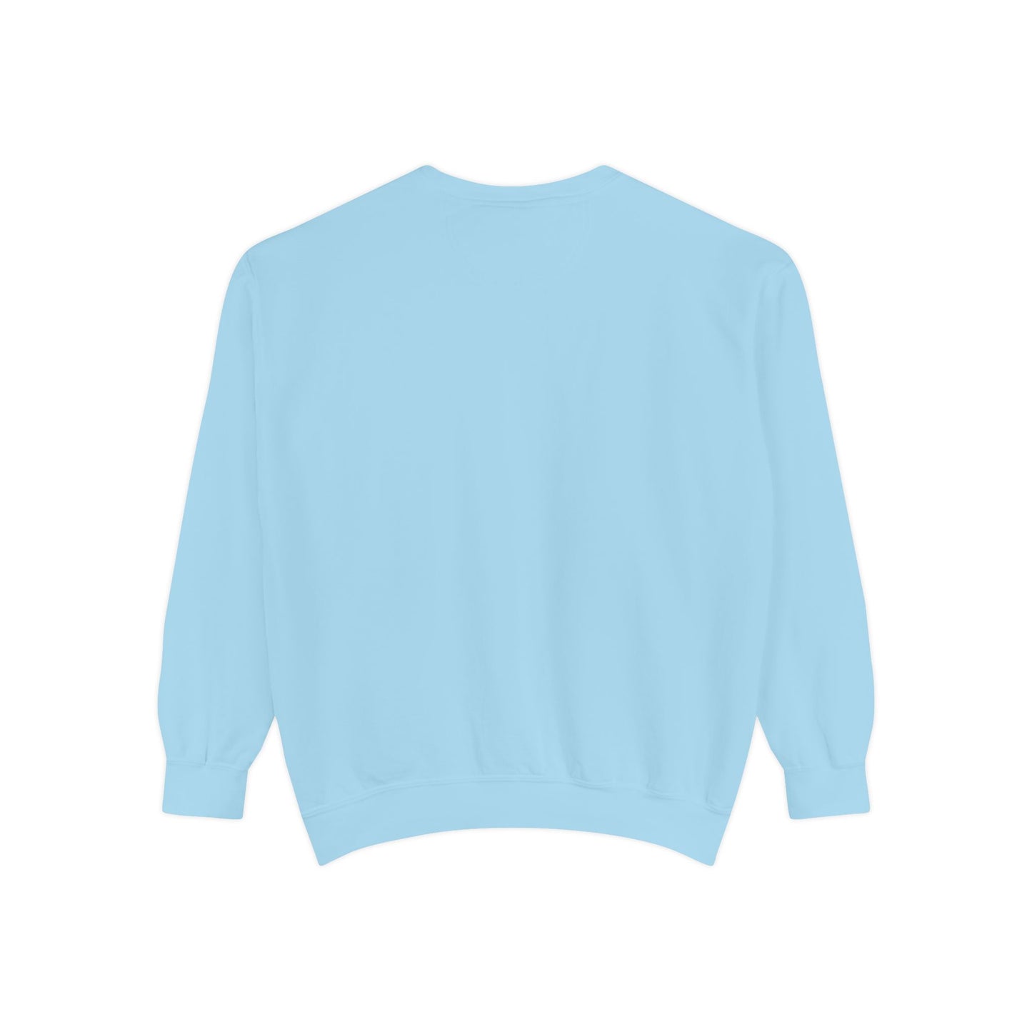 Light blue sweatshirt 