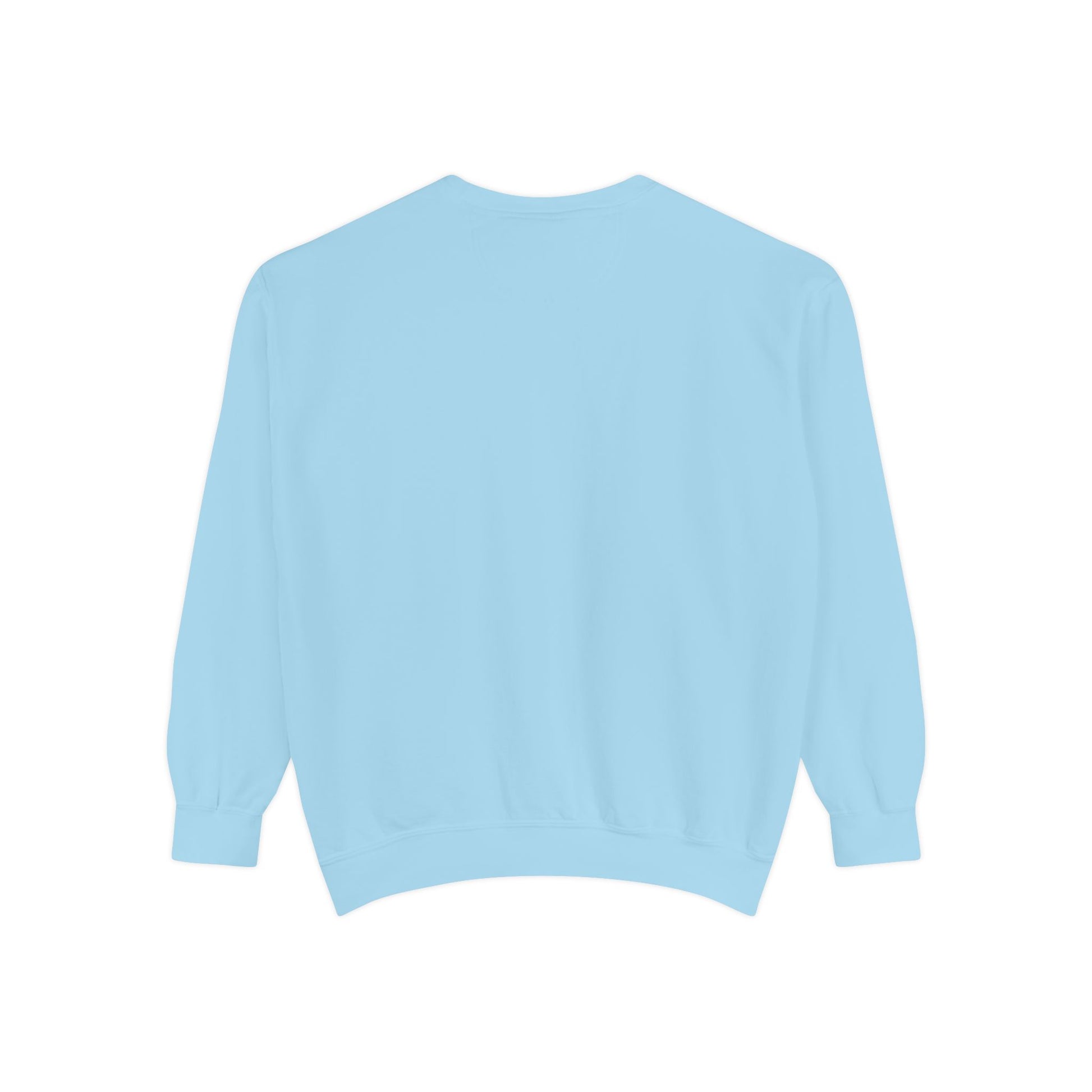 Light blue sweatshirt 