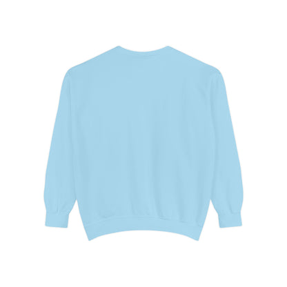 Light blue sweatshirt 