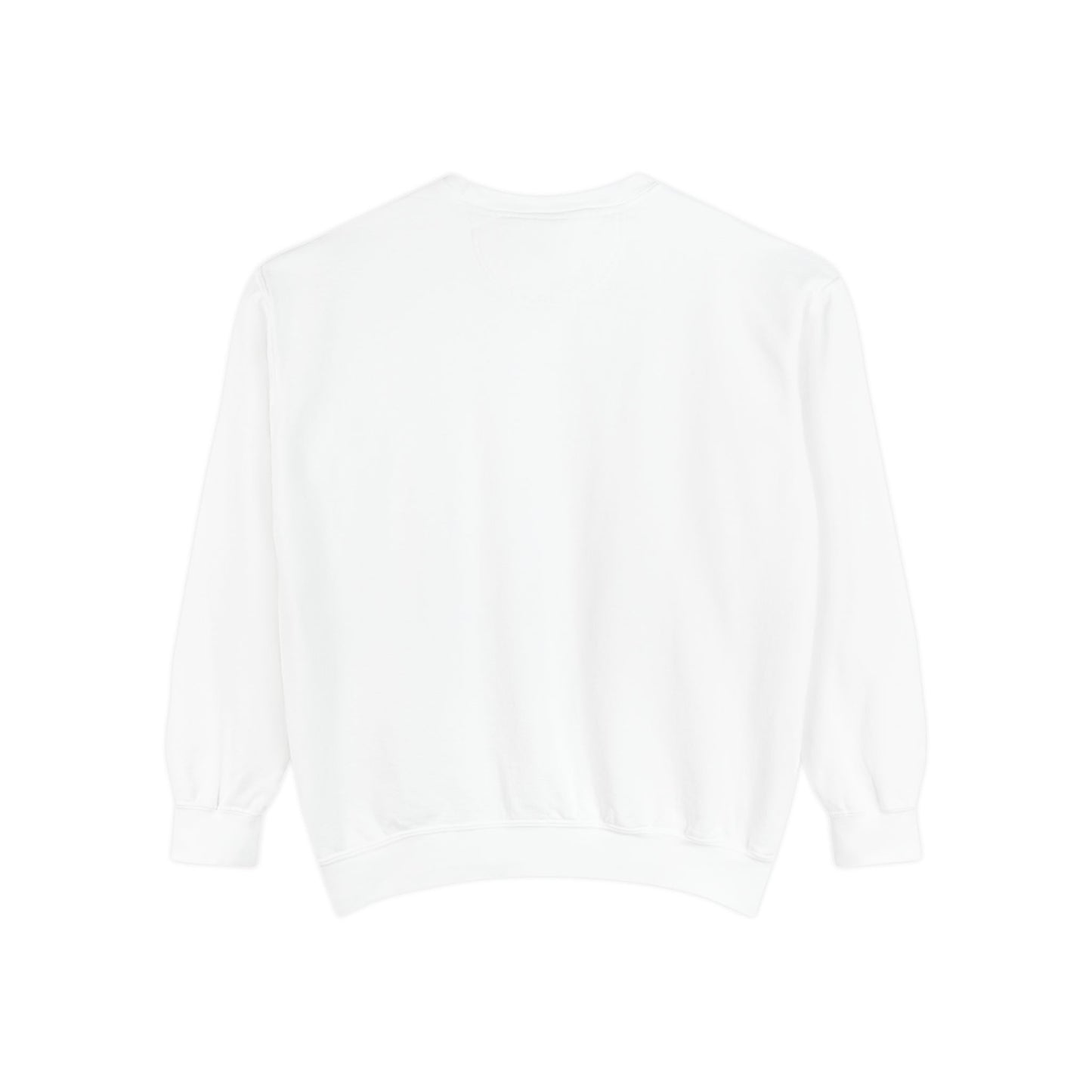 Unisex graphic sweatshirt cozy pullover front view

