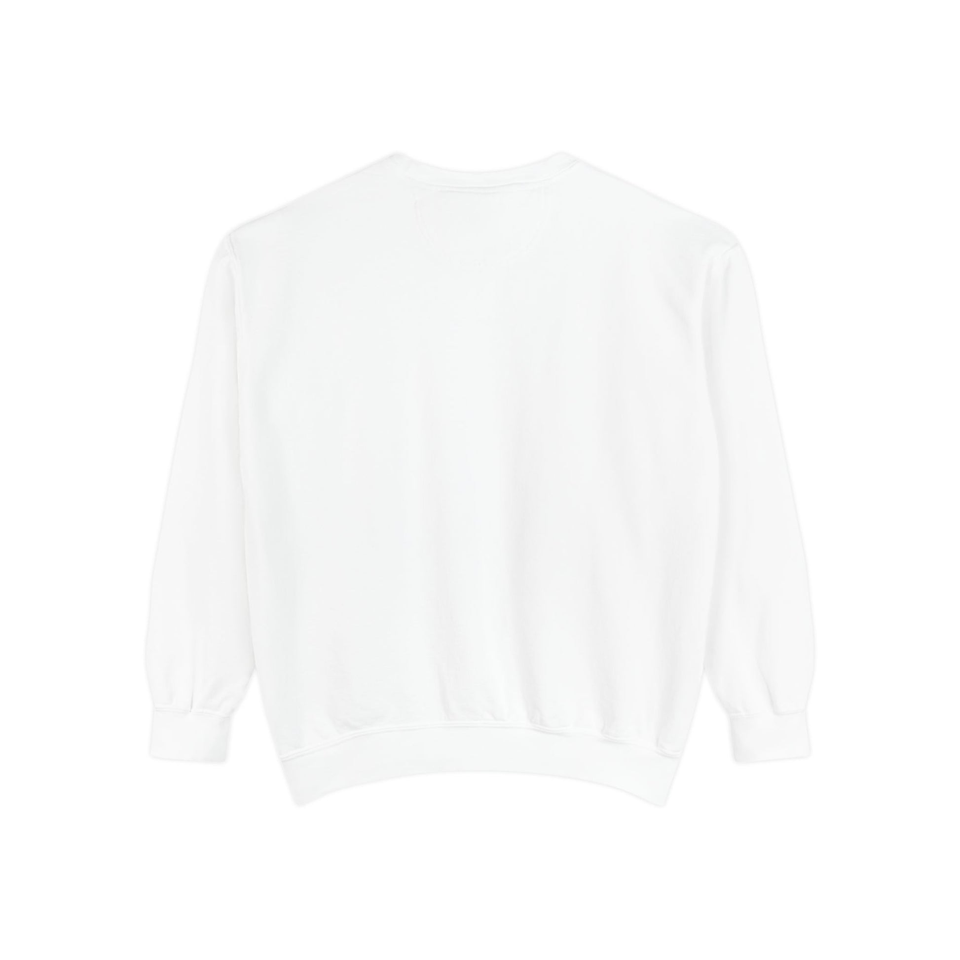 Unisex graphic sweatshirt cozy pullover front view
