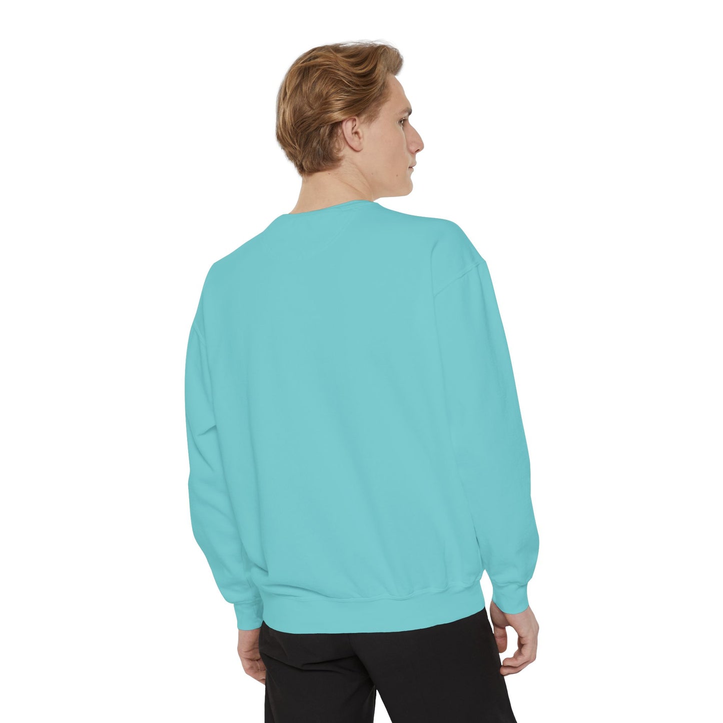 Light blue sweatshirt 